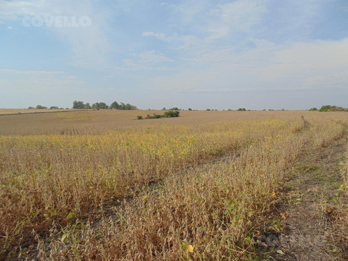 Imagen 9 de 11 de Campo En Martin Chico, Buena Tierra Productiva, Zona En Desarrollo