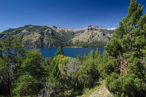 Imagen 3 de 9 de Fabienne Edelberg Fe Propiedades Venta 3 Hectareas En Villa Lago Meliquina