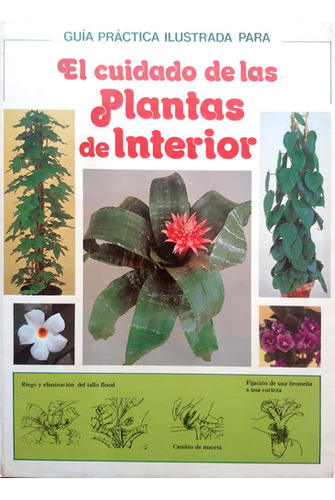 El Cuidado De Las Plantas De Interior Longman Usado # 