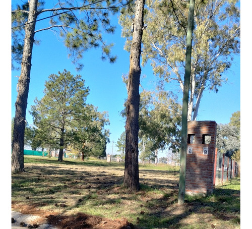 Excelente Lote Interno En Barrio Nueva Zelaya