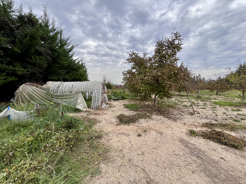 Casa Cómoda Con Plantación De Nogales En Producción