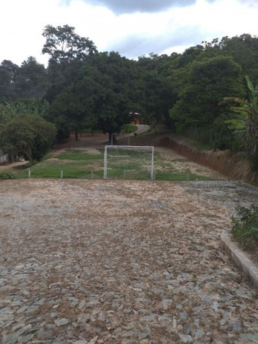 Imagem 15 de 28 de Sitio Em Ravena 10 Mil M2 C/ Piscina, Area De Churrasco, Arvores Frutiferas - 94803