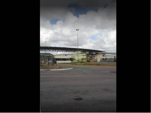 Imagem 11 de 16 de Galpão Em Suape Pe - Ga0899
