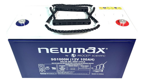 Batería 100ah 12v Gel Sellada Ciclo Profundo Newmax Ps Korea