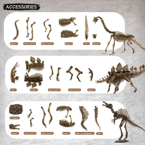 6 Pcs Skeletons De Dinosaurios, Juguetes De Dinosaurios De E