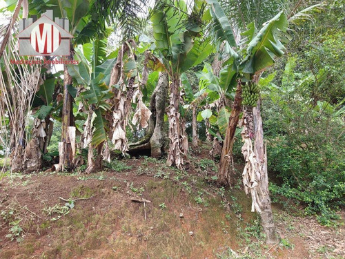Imagem 22 de 23 de Ótima Chácara Com 3 Dormitórios, Córrego, Pomar, Excelente Localização, À Venda, 3000 M² Por R$ 215.000 - Zona Rural - Pinhalzinho/sp - Ch0848