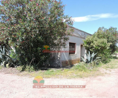 Chacra En Venta 6 Has, Casa 3 Dormitorios, Galpón, Aguadas Canelón Chico