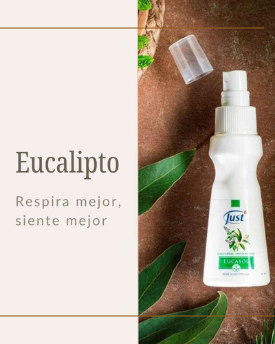 Eucasol Just 75 Ml Eucalipto Refrios, Rinitis, Alergias