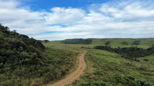 Oportunidade! 2 Hectares A Partir De R$ 99.000,00