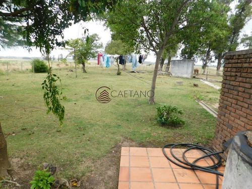 Imagen 13 de 13 de Campo- Chacra En Venta- Entrada De Pueblo Garzon-35 Hectareas - Garzón Pueblo Garzón