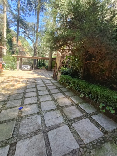Imagen 6 de 19 de Departamento Tipo Cabaña En Medio Del Bosque Cerca De Santa Fe Pet Friendly Zona Ecolgica San Mateo Tlaltenango