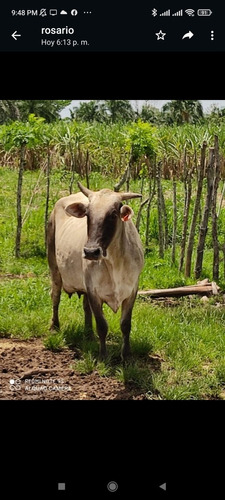 Vendo Terreno En San José De Los Llano