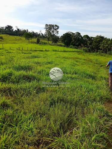 Imagem 3 de 8 de Venda Fazenda Machadinho D'oeste Em Rondônia - Faz313