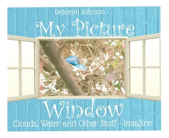 Libro My Picture Window: Clouds, Water And Other Stuff - ...