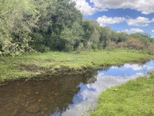 Venta Chacra Sierra Ruta 39 Aigua Sierra De Los Caracoles Maldonado