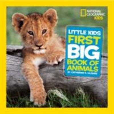 Libro Físico En Ingles Little Kids First Big Book Of
