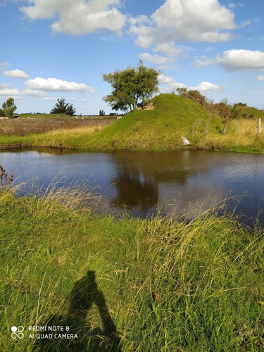 Vendo Buen Campo Con Casa Y Galpón Tajamarar Para Riego!!!