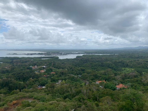 Imagen 7 de 8 de Apartamento Higuerote Carenero Bella Vista