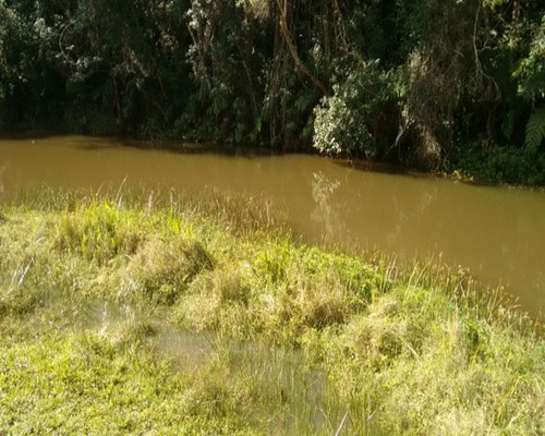 Imagem 15 de 21 de Sitio À Venda Em São Lourenço - 352 - 32982700