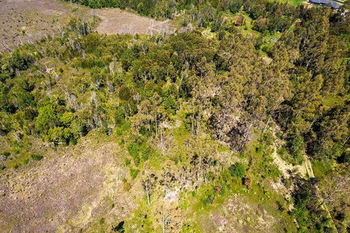 Parcela De 6mil M2 En Minte - Puerto Varas