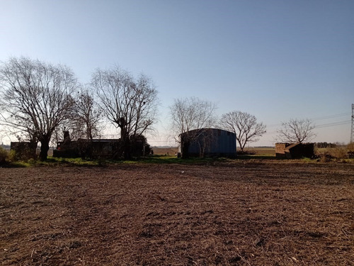 Campo- Apto Emprendimiento- Feedlot- Agricola