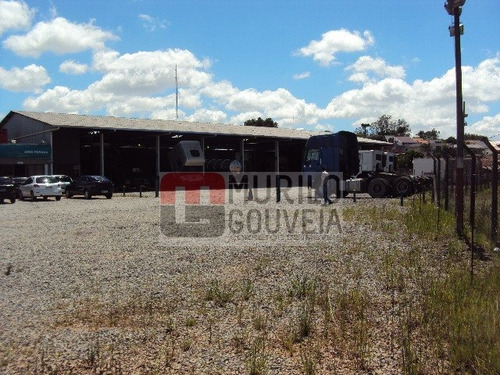 Imagem 19 de 27 de Área À Venda, Pinheirinho, Curitiba. - Pr - Te0099_gouv