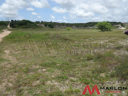 Imagem 7 de 7 de Terreno Com 5ha Ótimo Para Granja