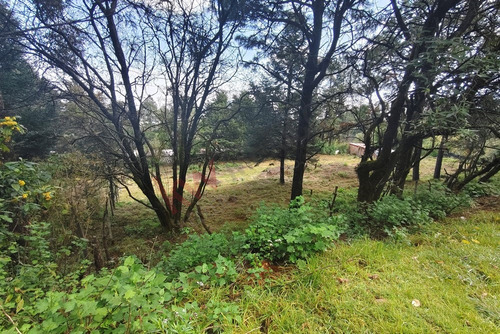 ¡invierte En Grande! Terreno Con Gran Potencial En El Corazón Del Ajusco: 2257 M2