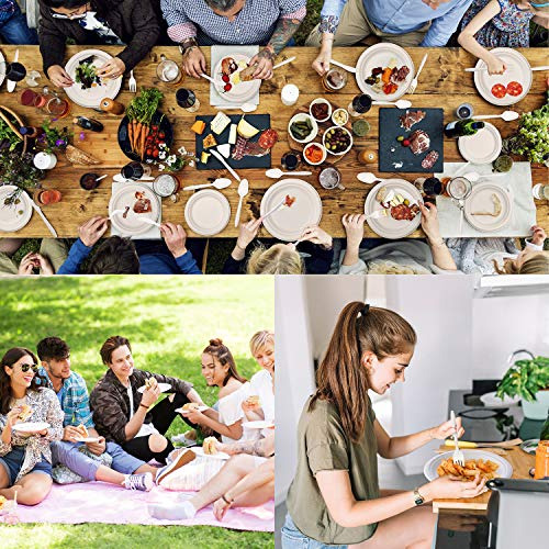 250pcs Compostable Paper Plates With Cutlery Set, Dispo...