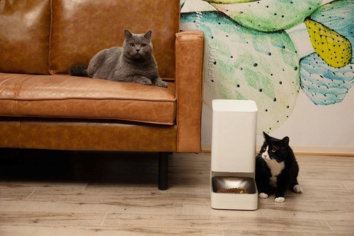 Xiaomi Smart Pet Food Feeder Eu