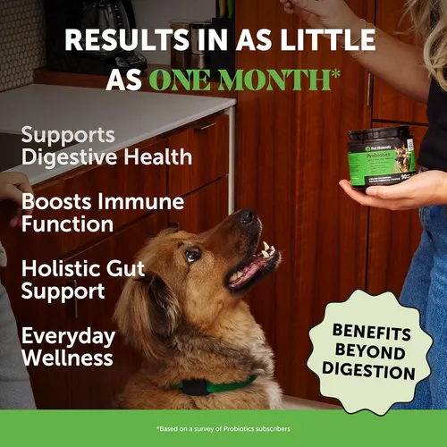 Probióticos Para Perros Pet Honesty Salud Digestiva Y Alivio