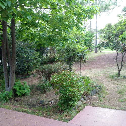 Imagen 22 de 22 de Promo Turismo 2023- Alquiler Casa Para 10 Personas En Las Toscas