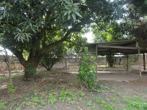 Chácara Com 3 Dormitórios À Venda, 1100 M² Por R$ 1.100.000,00 - Green Village - Nova Odessa/sp - Ch0102