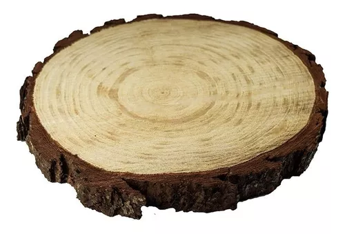 Rodajas de tronco, madera acacia! - Creaciones Piuque-Lom