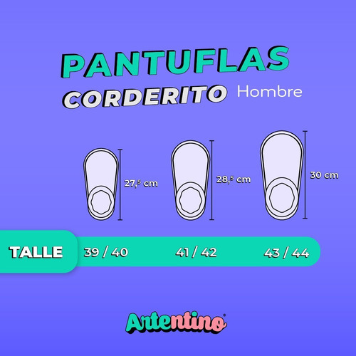 Imagen 2 de 5 de Pantufla Artentino Hombre Papá Pantuflas