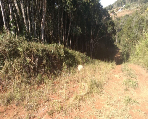 Imagem 6 de 11 de Terreno Em Condomínio À Venda No Águas De Sarapuí - Funil - Sorocaba/sp - Tc03590 - 69842246