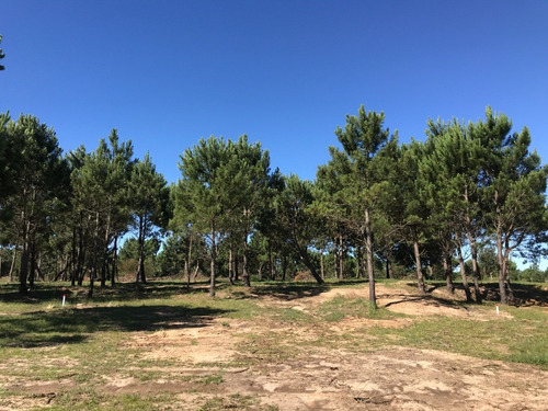 Imagen 5 de 9 de En Venta - Los Zorzales - Loteo De 30 Solares - Mza 423