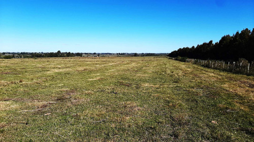 Imagen 18 de 18 de Hermosas Chacras Campos De 3 Hectareas En Tala