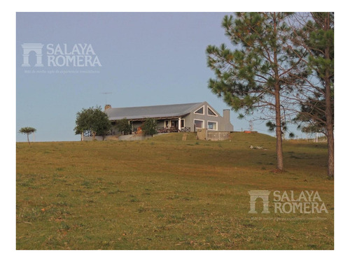 Imagen 3 de 30 de Venta 10 Ha, 3 Viviendas, Buen Potencial Turístico, Pueblo Eden, Punta Del Este Sch4818860