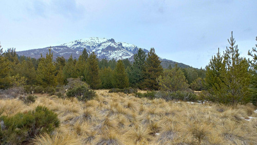 Imagen 6 de 21 de Terreno A La Venta En Bariloche