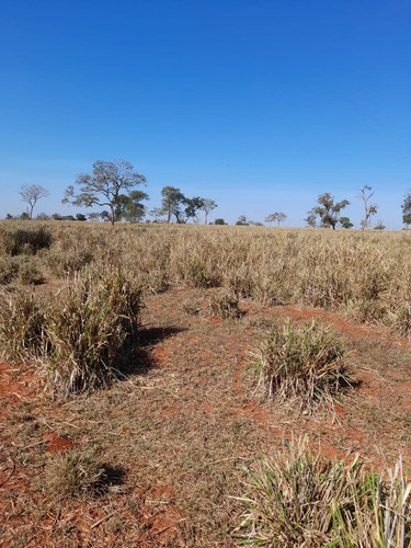 Imagem 10 de 11 de Fazenda Para Pecuária Venda Em Paranaiba-ms, Com 268 Hectares, Beira Rio Paranaiba, Casa E Varias Benfeitorias, Plana, Terra Mista Avermelhada - Fa00397 - 70075757