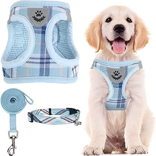 Conjunto De Arnés Y Collar Ajustables Mascotas Paso Pa...