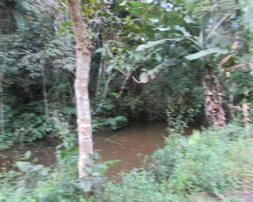 Imagem 20 de 21 de Terreno - 04611 - 33229241