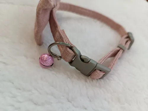 Collar Y Correa Para Perros