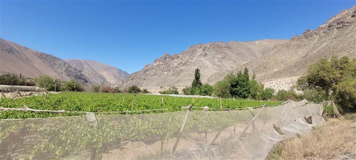 Agrícola En Venta En Vicuña