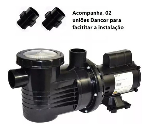 Moto Bomba P/ Piscina Dancor Pf-17 3/4cv M 110/220v 