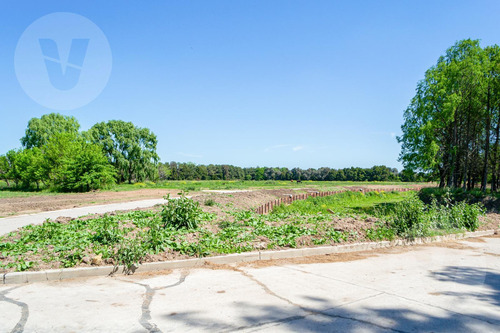 Lote Con Vista A Laguna En Venta - Barrio Cercana, Canning