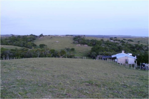 Quinta En Venta De 3 Dormitorios En Jose Ignacio