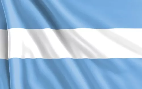 50 Unidades Bandera Argentina Flameo Con Sol 40 X 70 Cm