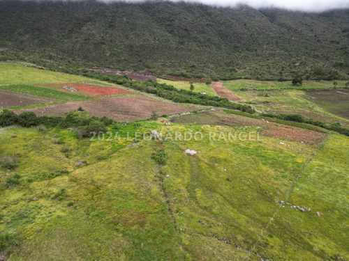 Se Vende Terreno De 6 Hectáreas En La Culata, Mérida.